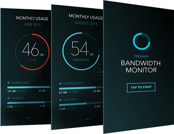 Bandwidth Monitor app screenshots: Home screen, Monthly usage